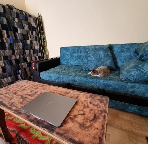 پانسیون домик светланы