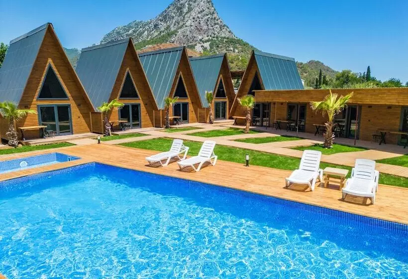 تختخواب و صبحانه Araz Wooden Concept