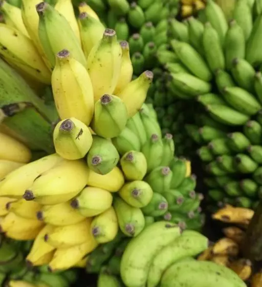 Hotelli Nets Cowork & Colive