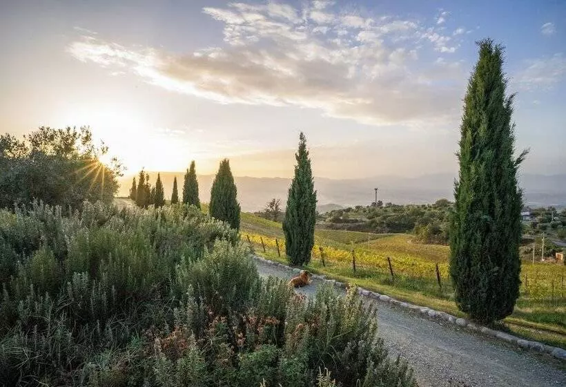 Aamiaismajoitus (B&B) Foresteria Di Serracavallo