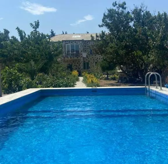 ペンション Garden View Seaside Guesthouse With Airport Transfer