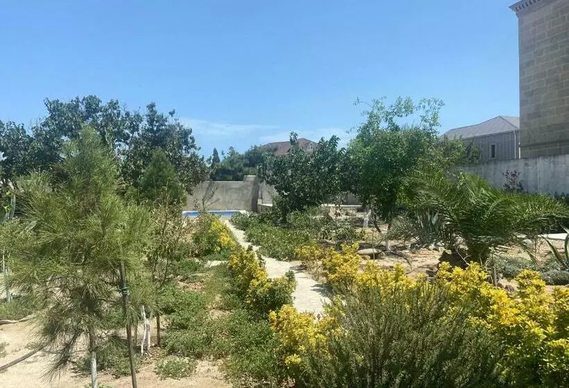 ペンション Garden View Seaside Guesthouse With Airport Transfer