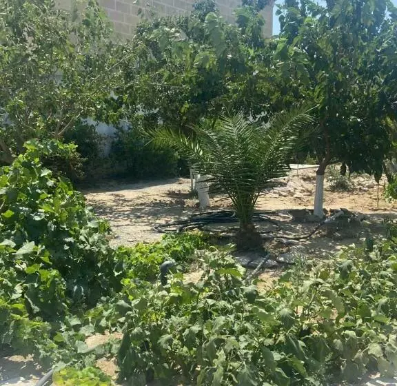 ペンション Garden View Seaside Guesthouse With Airport Transfer