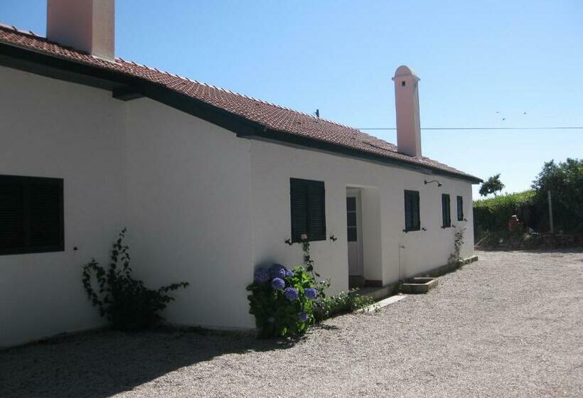 هاستل Pousadinha De Paradela