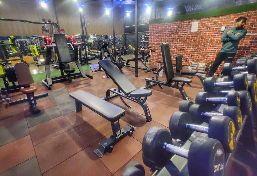 בית מלון כפרי Nissar