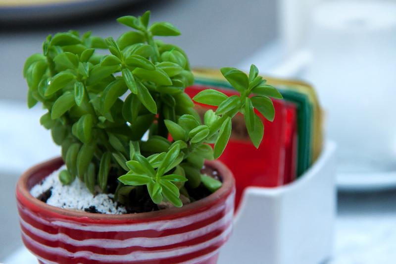 Bed and Breakfast Palazzo Starace