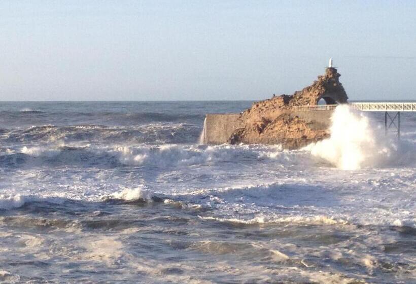 호텔 Carlina Lodge