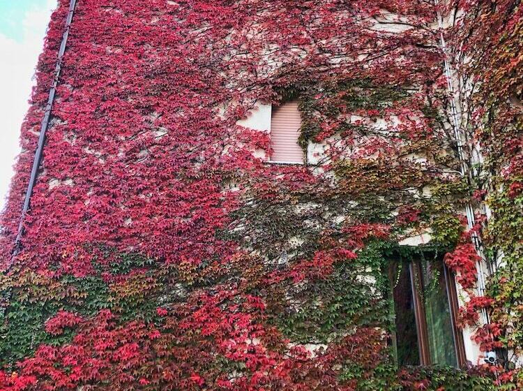 בית מלון כפרי Colucci