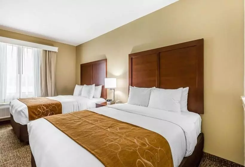 ホテル Comfort Suites Houston I45 North
