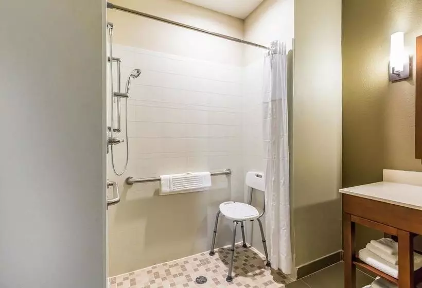 ホテル Comfort Suites Houston I45 North