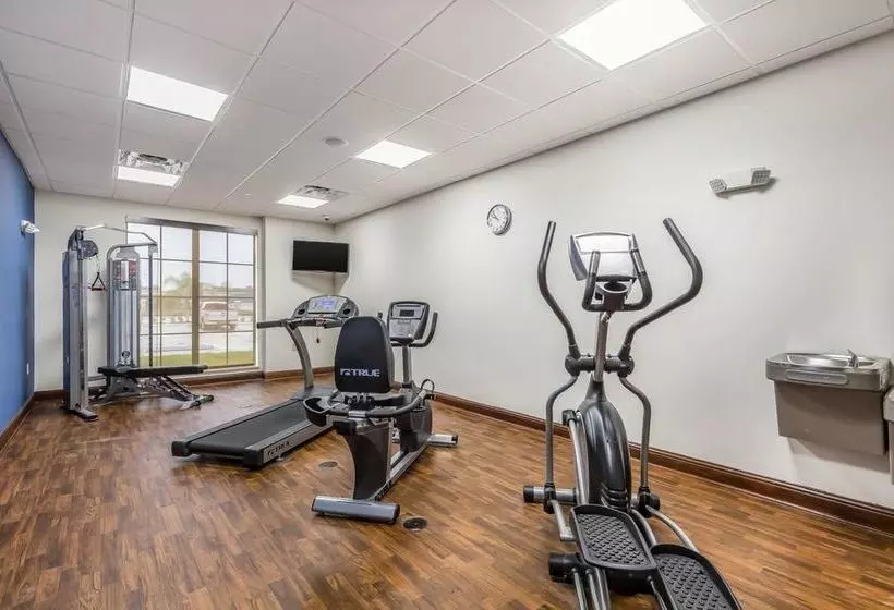 ホテル Comfort Suites Houston I45 North