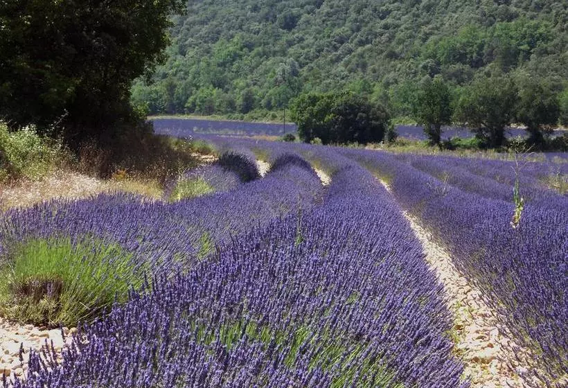 Les Hauts De Greoux