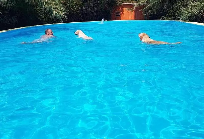 هتل B&b Mas Torrencito Pet Friendly