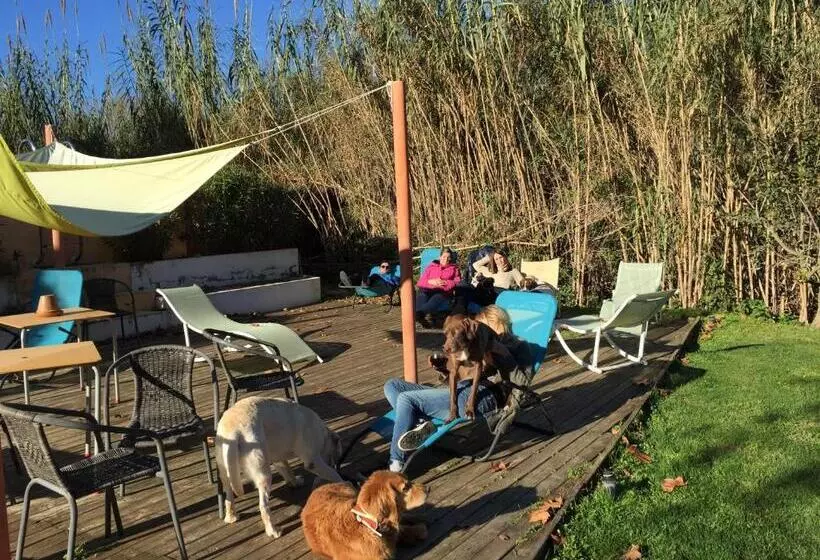 هتل B&b Mas Torrencito Pet Friendly