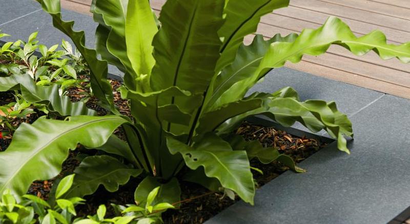 فندق Veriu Camperdown