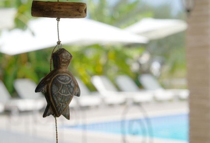 Mirsini Studios & Apartments