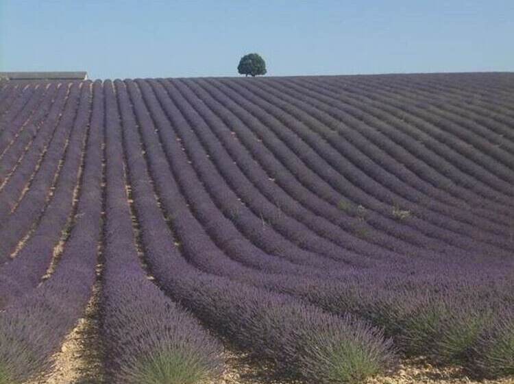 Пансион Le Mas Des Aludes