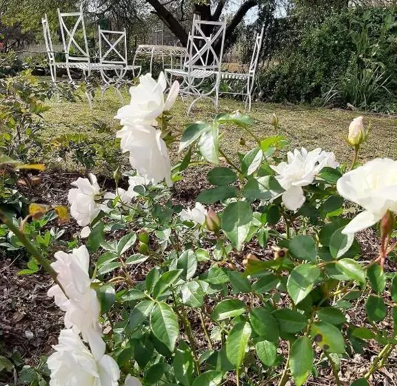 Aamiaismajoitus (B&B) Cesarea Landgoed