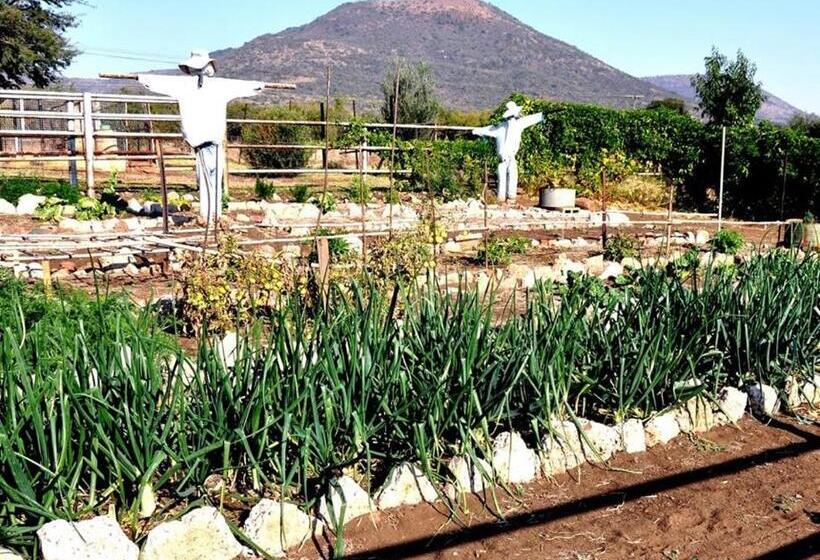 مبيت وإفطار Cesarea Landgoed