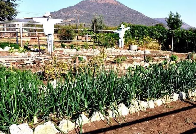 Aamiaismajoitus (B&B) Cesarea Landgoed