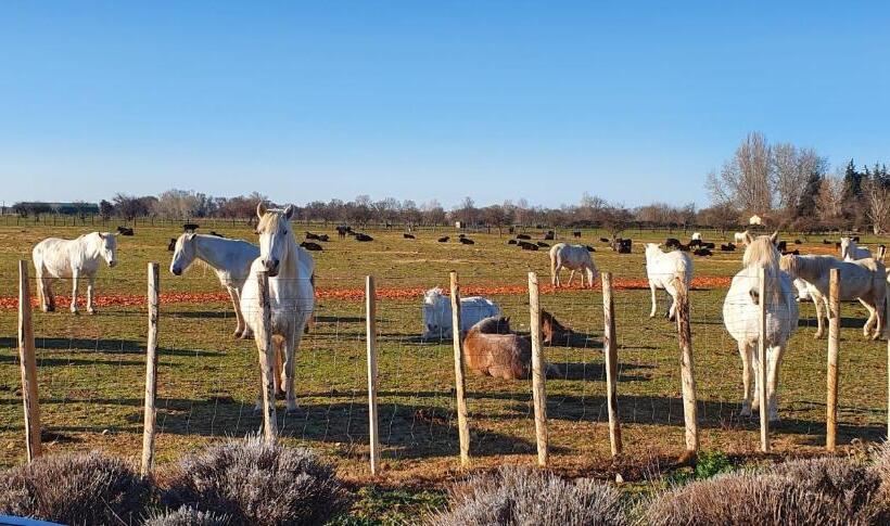 ベッドアンドブレックファースト Les Bonbonnettes