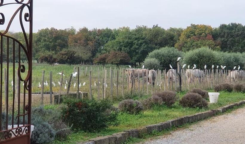 ベッドアンドブレックファースト Les Bonbonnettes