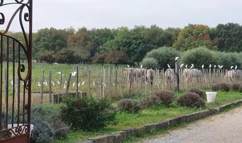 Aamiaismajoitus (B&B) Les Bonbonnettes