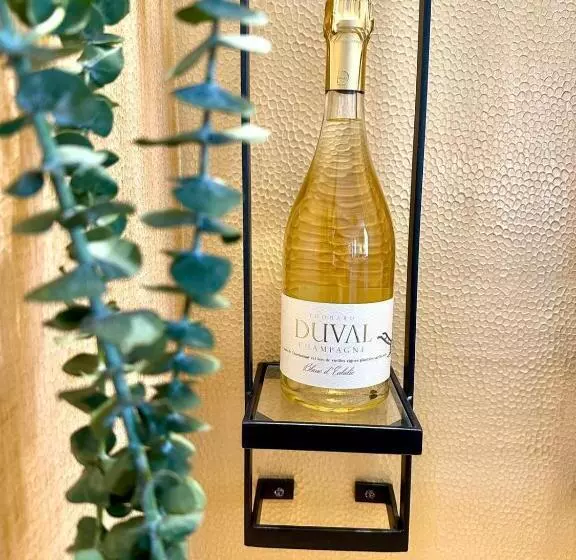 Villa Eulalie B&b Guest House Nestled In The Champagne Area