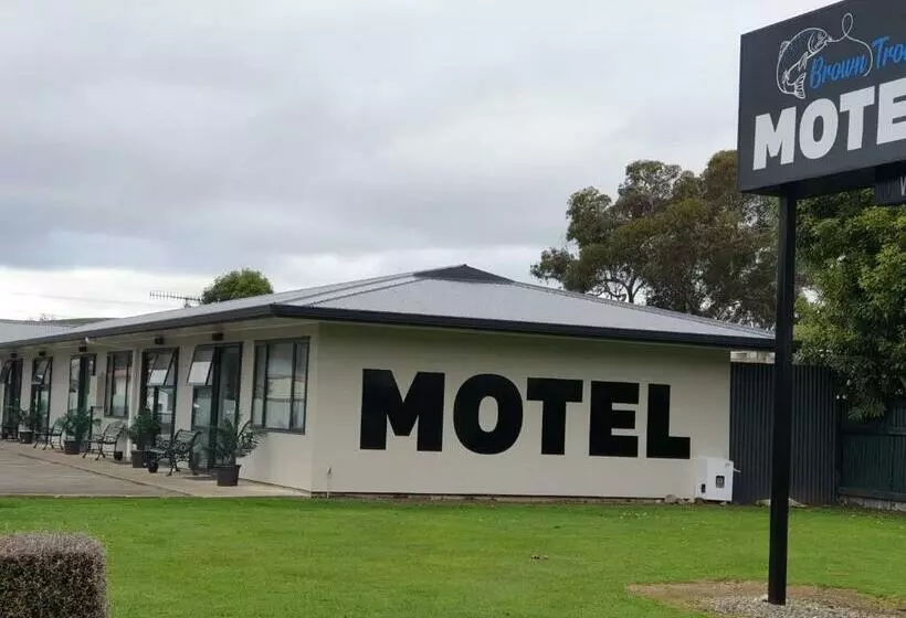 Brown Trout Motel