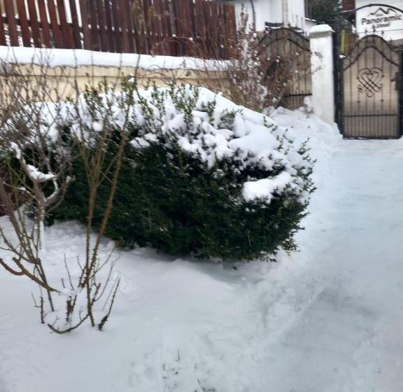 ペンション Casa Elli