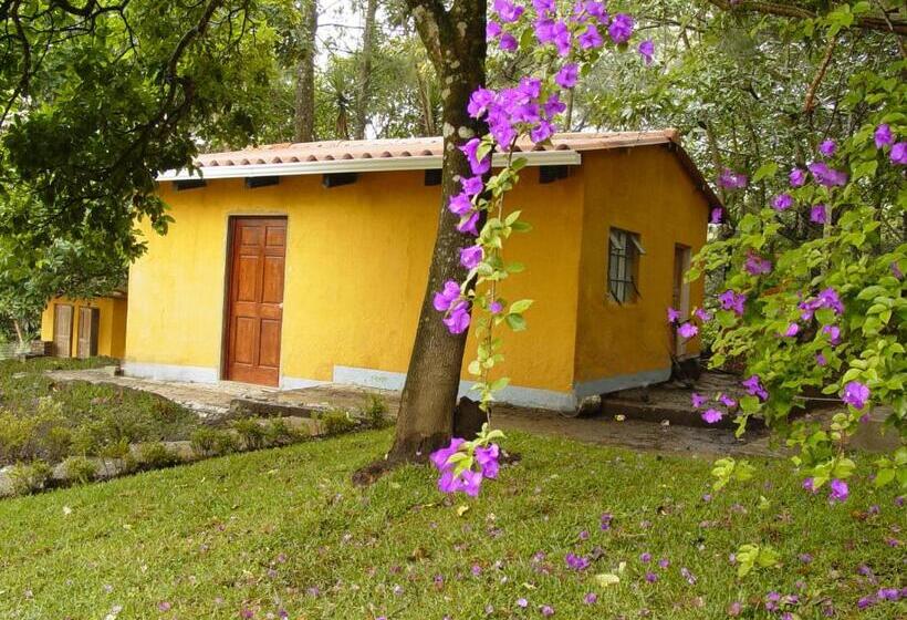 هتل Monte Alto Hospedaje Eventos Y Mas