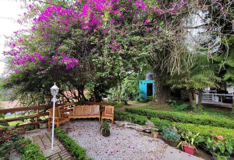 هتل Monte Alto Hospedaje Eventos Y Mas