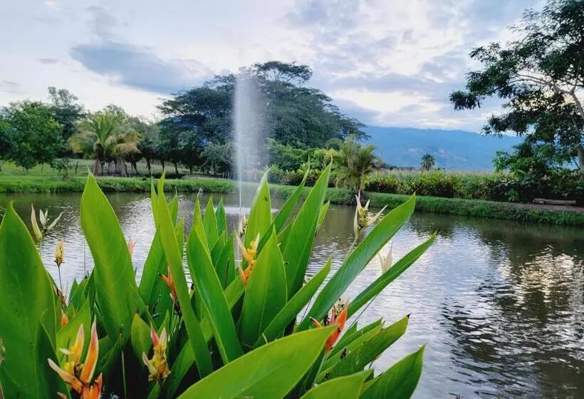 Dexamano Hotel & Resort