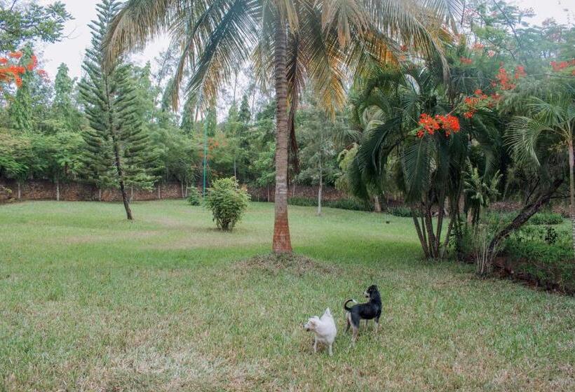 هاستل Kijanii Cottages Diani Beach