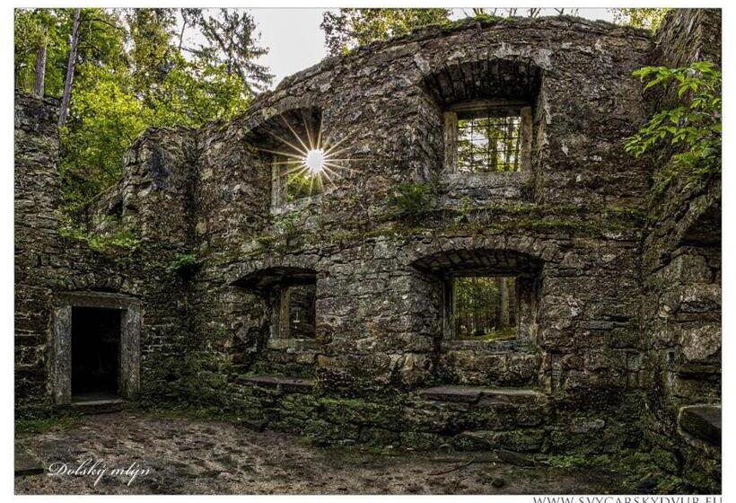 膳宿费 Penzion švýcarský Dvůr