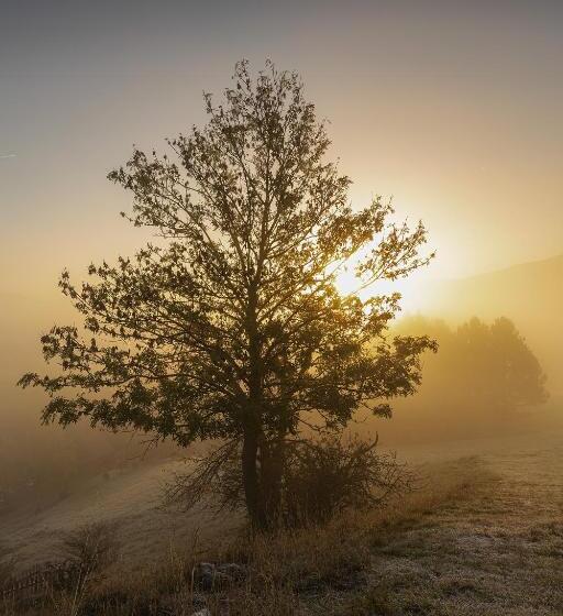 膳宿费 Penzion švýcarský Dvůr