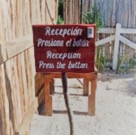 هاستل Tribe Beachville