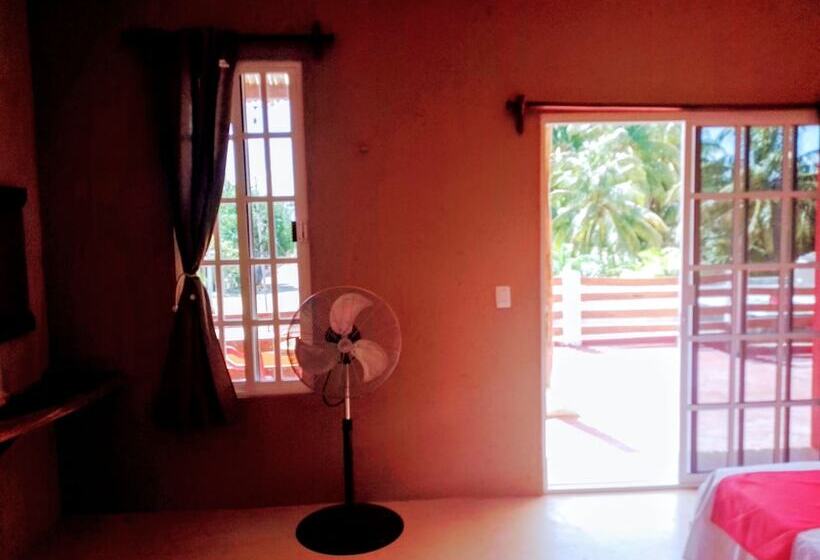 هاستل Tribe Beachville