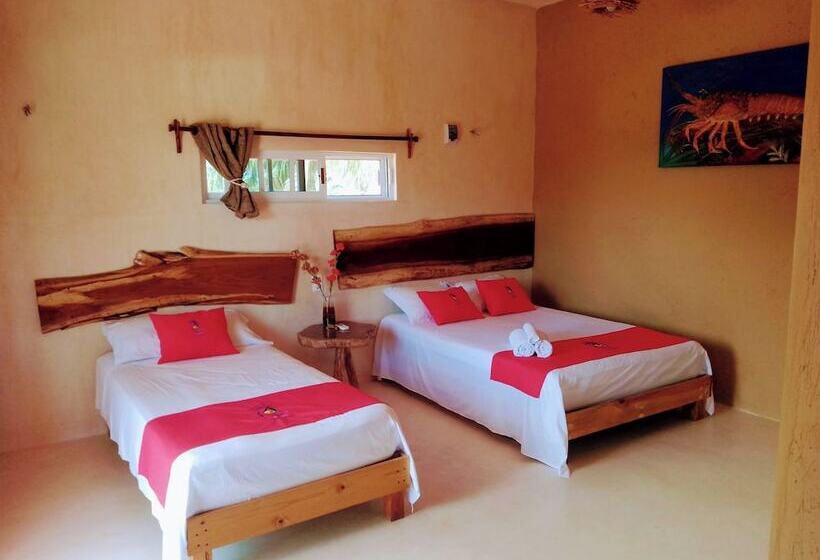 هاستل Tribe Beachville