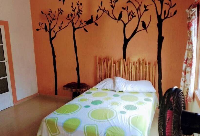 هاستل Tribe Beachville