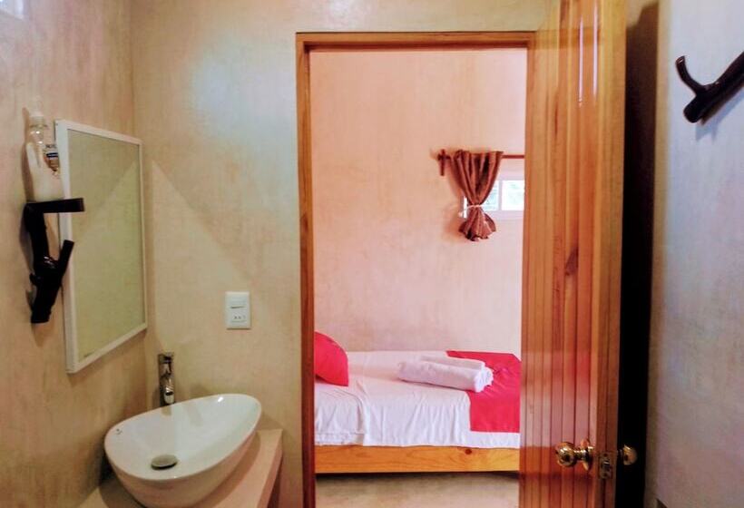 هاستل Tribe Beachville