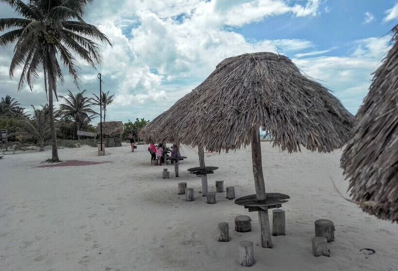 هاستل Tribe Beachville