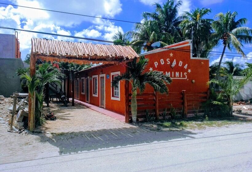 هاستل Tribe Beachville