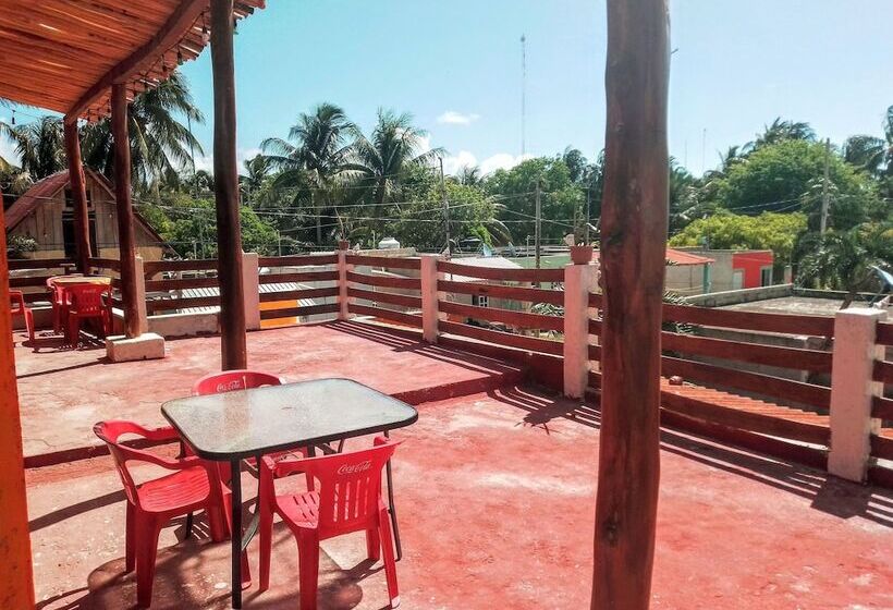 هاستل Tribe Beachville