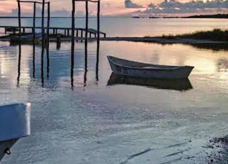 هاستل Tribe Beachville