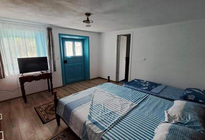 Pensiunea Casa Golovita