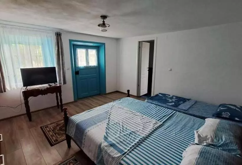 Pensiunea Casa Golovita