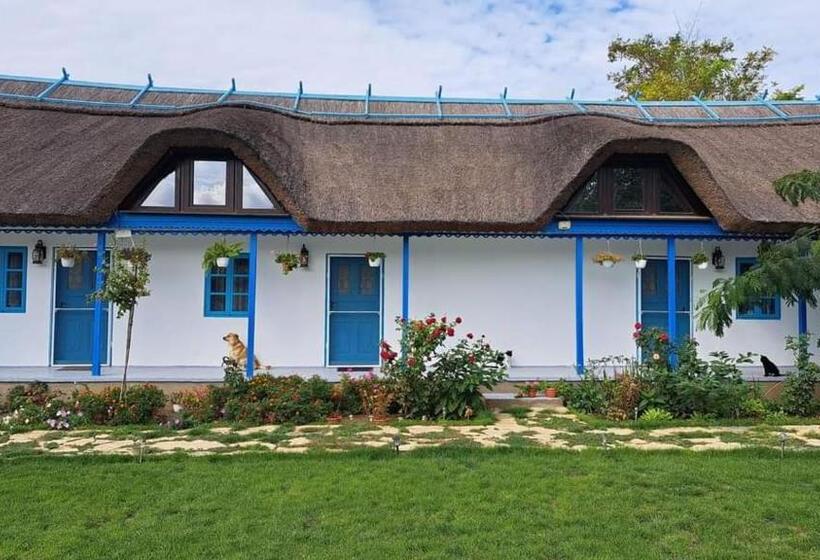 Pensiunea Casa Golovita