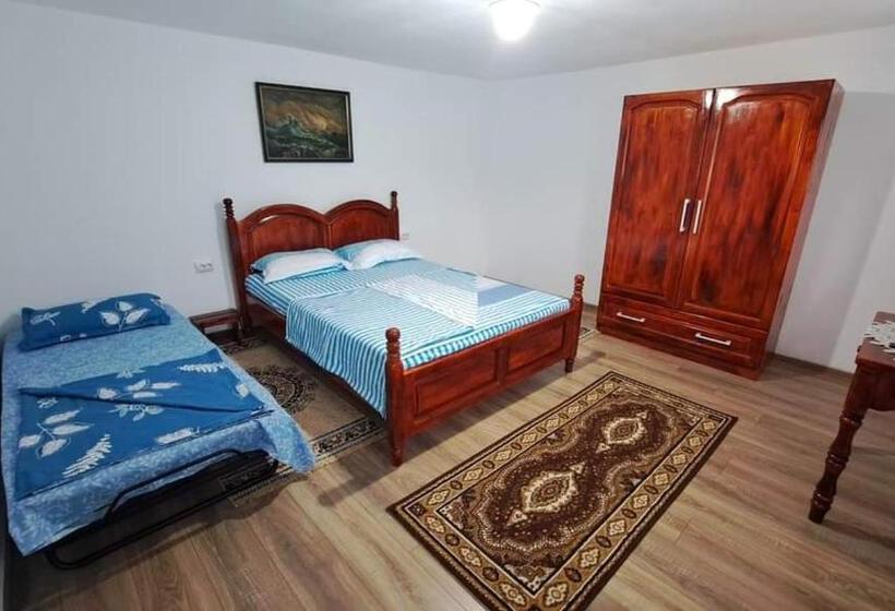 Pensiunea Casa Golovita