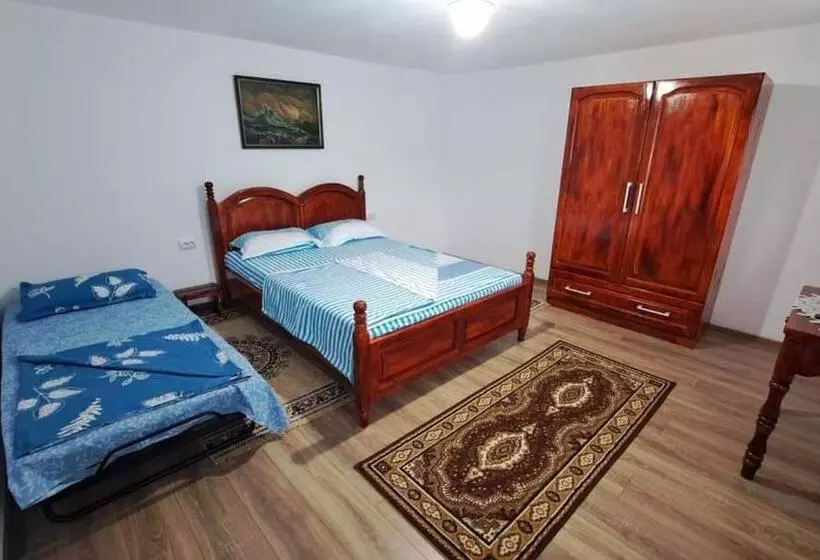 Pensiunea Casa Golovita